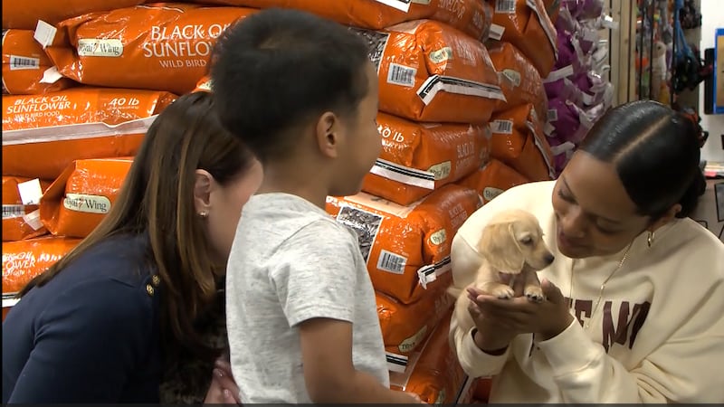 Sumner County Teen receives dogs