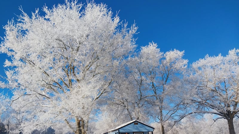 Photo of ice and snow in Smith County, Tennessee.