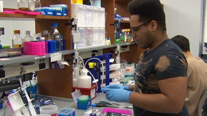 Vanderbilt University student works inside a laboratory.