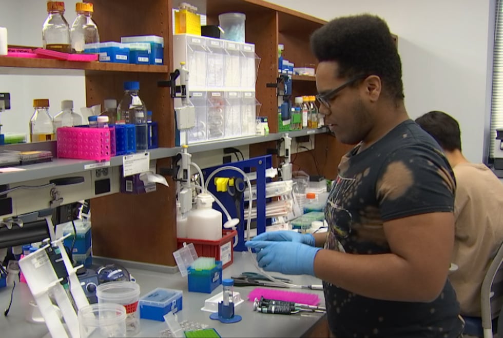 Vanderbilt University student works inside a laboratory.