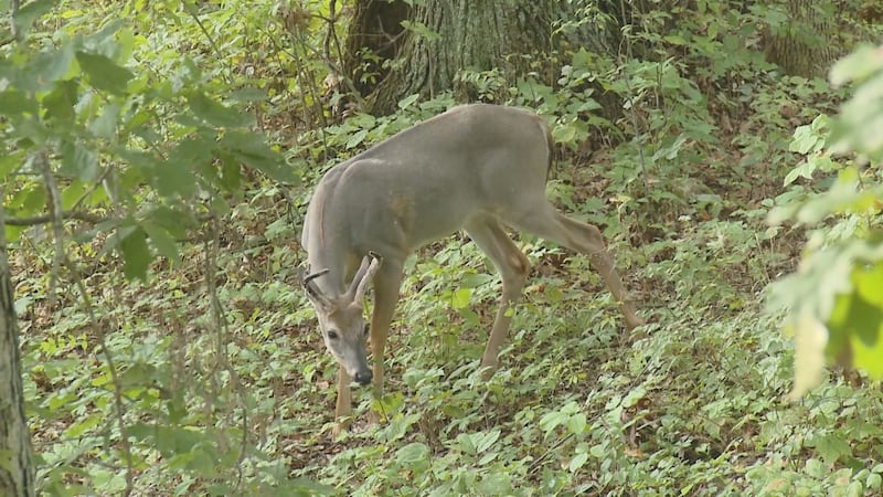 According to the National Highway Traffic Safety Administration, in Kentucky last year there...