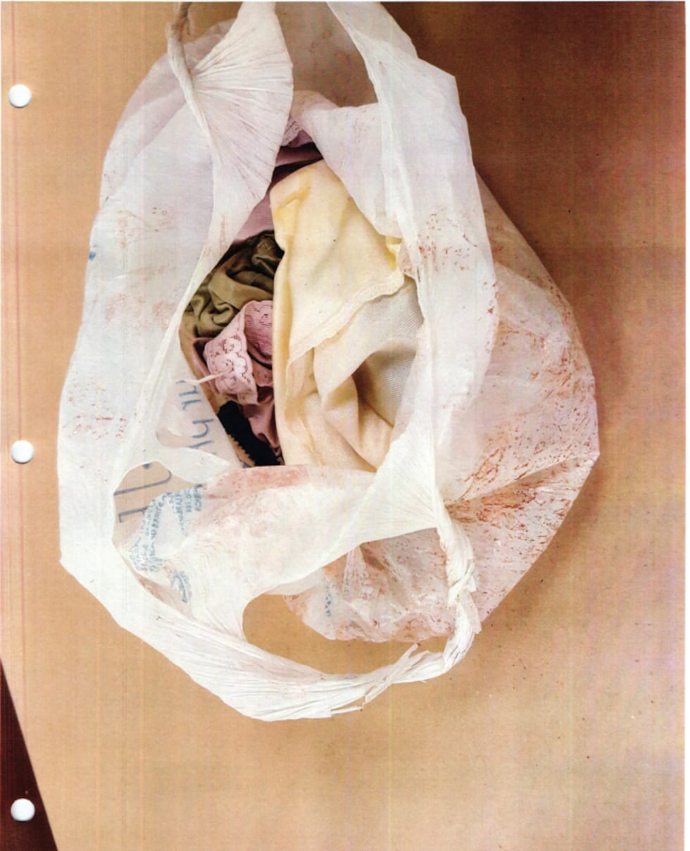 Bloody bag of women's underwear recovered from Nellsch's truck