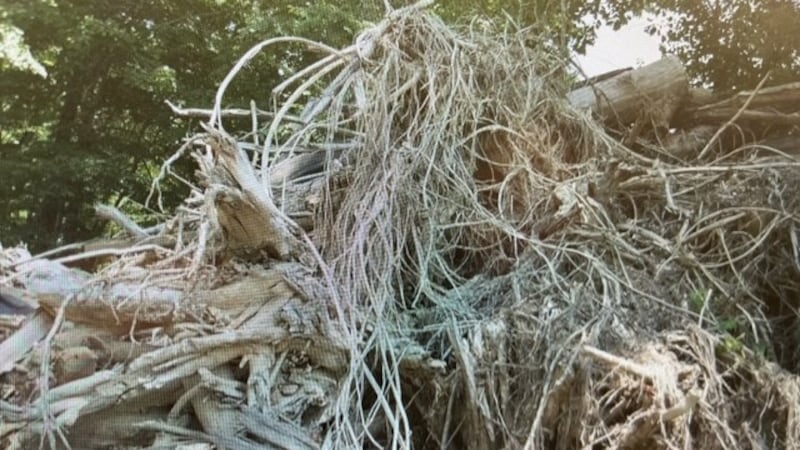 WSMV4 Investigates discovered a year after a deadly flood, a huge pile of debris remained near...