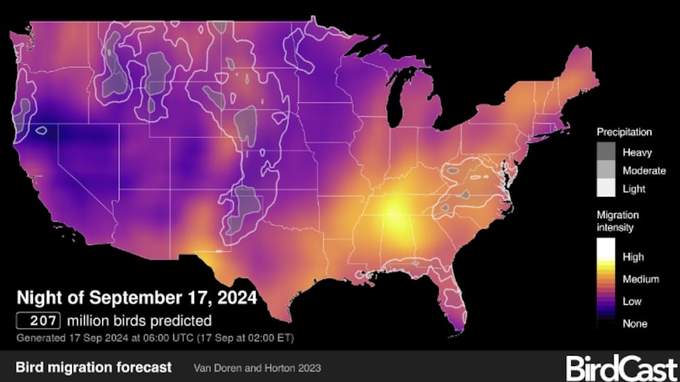 BirdCast shows that over 200 million birds will migrate each night this week.