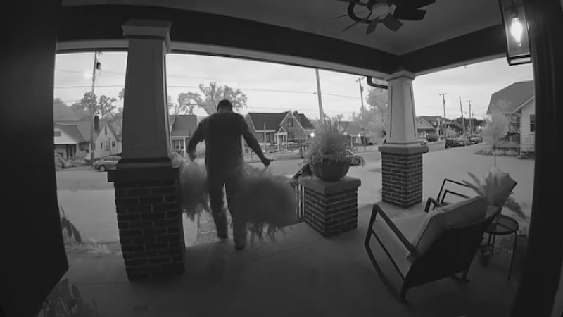 Ring doorbell video shows a man stealing two ferns off an East Nashville front porch at 5:30 a.m.