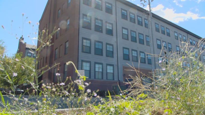 Residents claim mold growing in their apartment.