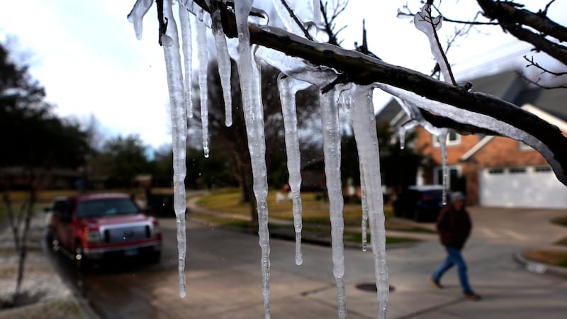 Cold temperatures and a lawn sprinkler create icicle on a tree ahead of a winter storm...