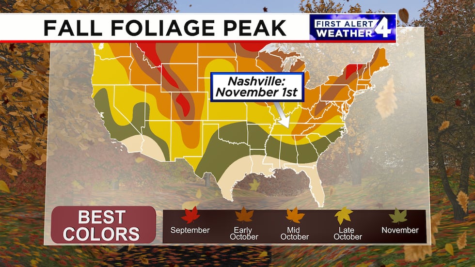 Peak foliage in most of Middle Tennessee occurs in late October or early November.