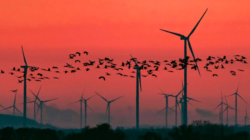 FILE: Migrating cranes fly in front of wind turbines during the sunset near Straussfurt,...