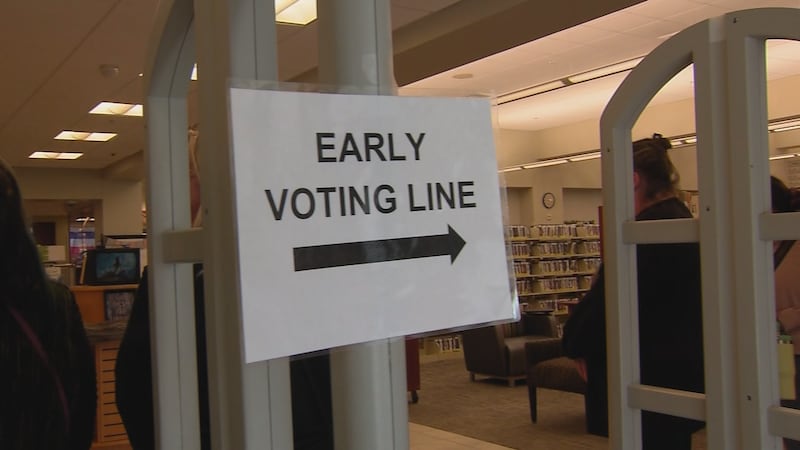 Early Voting in Davidson County.