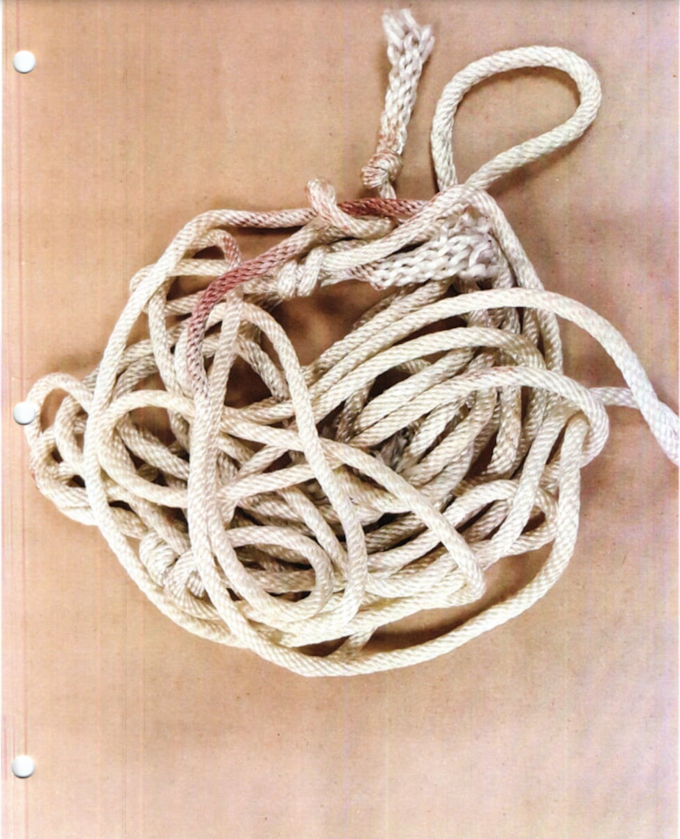 Bloody rope taken from inside Nellsch's truck