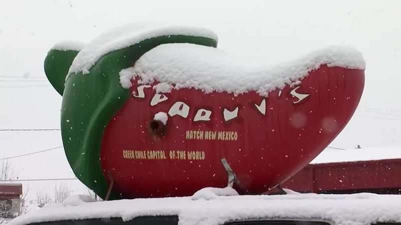 A rare and powerful winter storm is moving across the South. (CNN, WRDW, KEYE, KVIA)