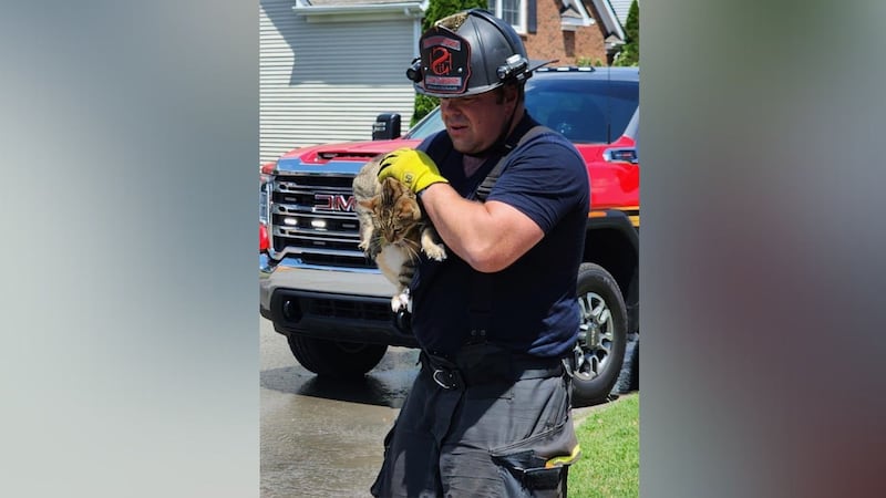 A firefighter saves a cat from a burning home in Spring Hill, Tennessee, on July 2, 2024.