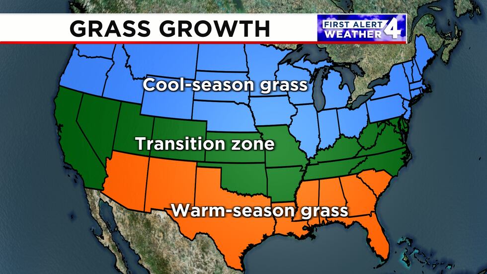 Cool-season and warm-season grasses become dormant at different temperatures.