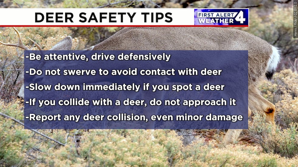 Deer-related crashes become more common during the Fall season.
