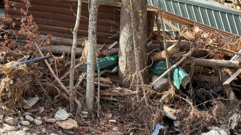 Debris wraps around a tree after flooding recedes in North Carolina after Hurricane Helene.